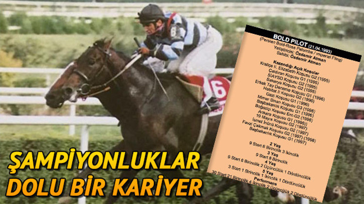 Bold Pilot hakkında merak edilenler | Bold Pilotun hikayesi Bold Pilot hakkında merak edilenler | Bold Pilotun hikayesi