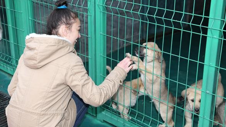 Can dostlarla engelsiz buluşma Can dostlarla engelsiz buluşma