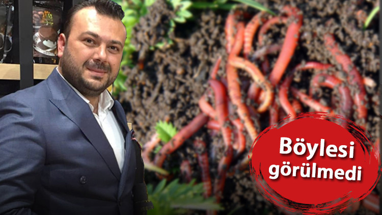 Kırmızı Kaliforniya solucanı ile saadet zinciri kurdular