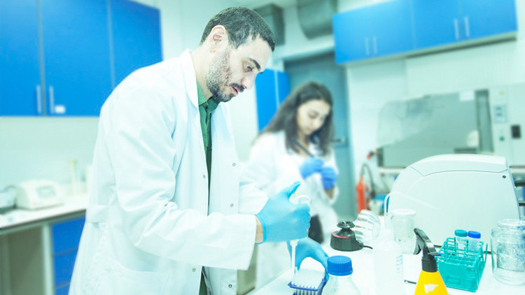 MIT ve BOUN hibrid çavdar üretecek MIT ve BOUN hibrid çavdar üretecek