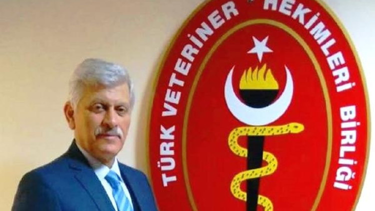 Hayvanlara şiddet ile ilgili komisyon kurulması memnuniyet verici