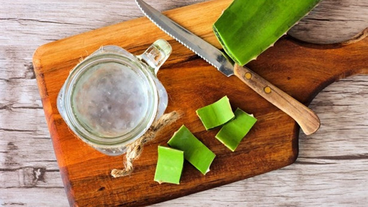 Aloe Vera Suyu İçmek İçin 5 Müthiş Sebep Aloe Vera Suyu İçmek İçin 5 Müthiş Sebep
