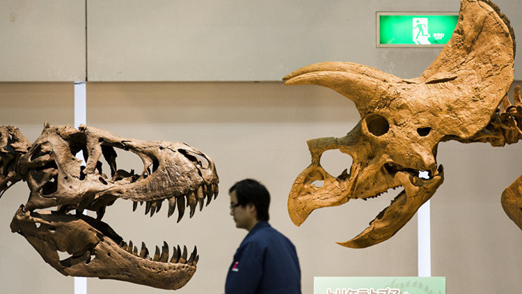 Yeni bir dinozor türü keşfedildi