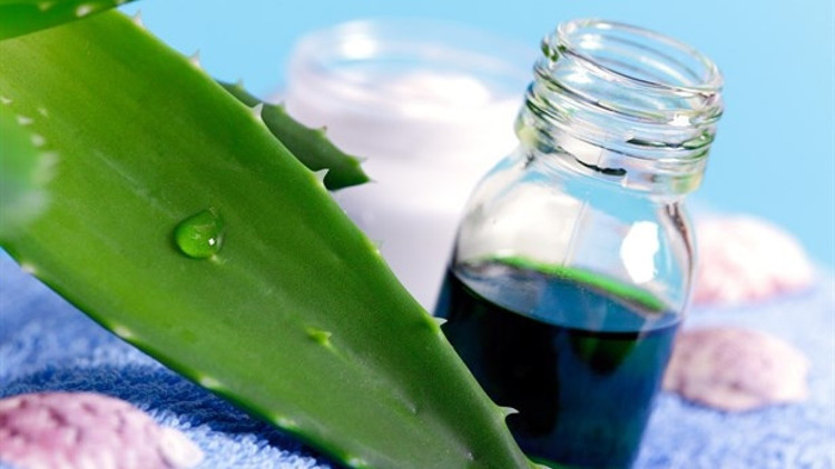 Aloe Veralı Şampuan Tarifi