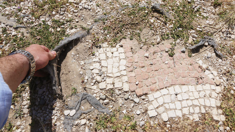 Örtü yırtıldı mozaikler saçıldı... Xsanthos acil müdahale bekliyor Örtü yırtıldı mozaikler saçıldı... Xsanthos acil müdahale bekliyor