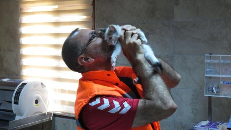 Yavru kediyi kurtaran kahraman işçi o anları anlattı Yavru kediyi kurtaran kahraman işçi o anları anlattı