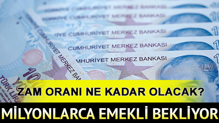 2019 Temmuz memur ve emekli maaş zammı ne kadar olacak
