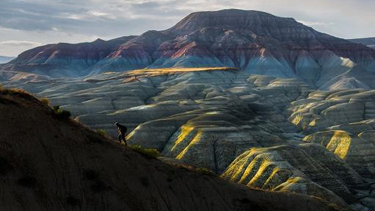 Foto Safari’nin kazananları