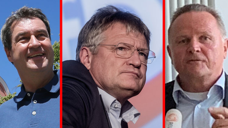 AfD’de ‘radikal’  darbe yaşanıyor