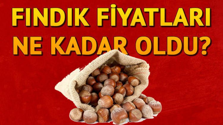 Levant fındık fiyatı TMOda ne kadar oldu 2019 Fındık taban fiyatları Levant fındık fiyatı TMOda ne kadar oldu 2019 Fındık taban fiyatları