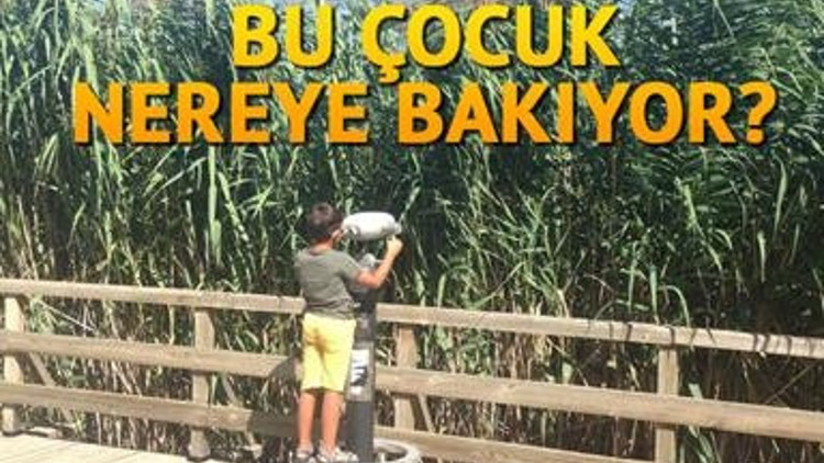 Okurların gözünden Ankara Sokakları