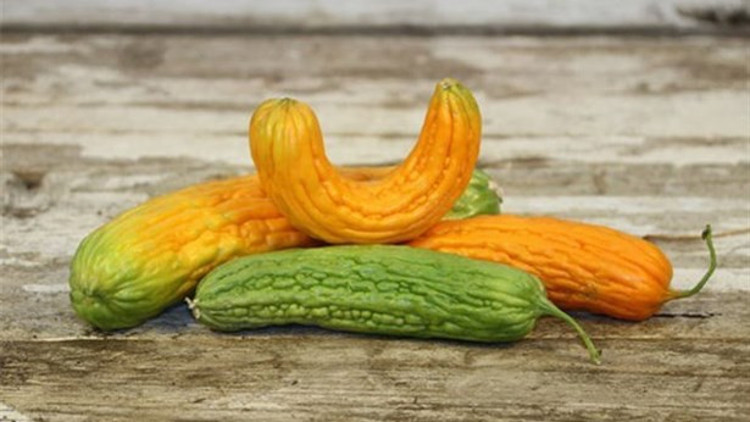 Midenizin Dostu Kudret Narı