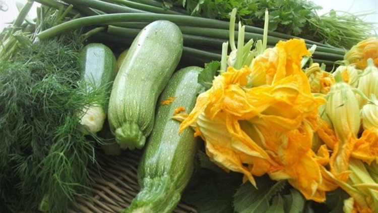 Hızla Kilo Verdiren Kabak Detoksu Tarifi