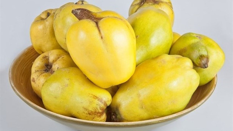 Yeni Yılda Hızlı Bir Metabolizma İçin Ayva Tüketin
