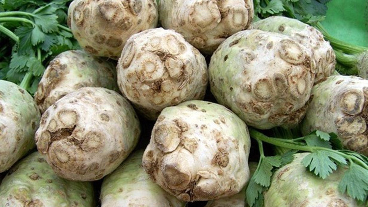 Kereviz Tohumu Çayı Neye İyi Gelir Nasıl Hazırlanır