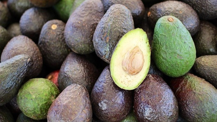 Avokado Nasıl Olgunlaştırılır