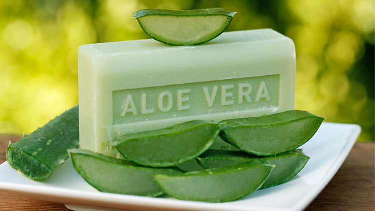 Cildi Temizleyen Aloe Vera Sabunu Tarifi