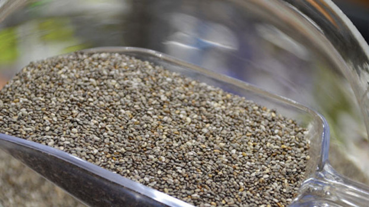 Chia tohumu nedir, faydaları neler Chia tohumu nedir, faydaları neler