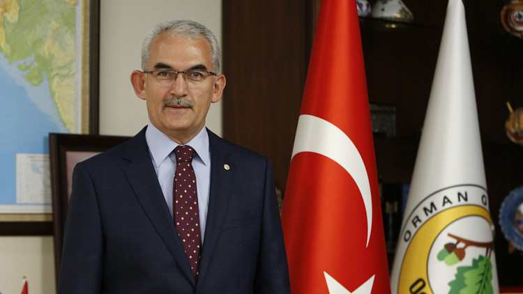 Orman Genel Müdürü: Tırtıl zararıyla ormanlar yok olmaz