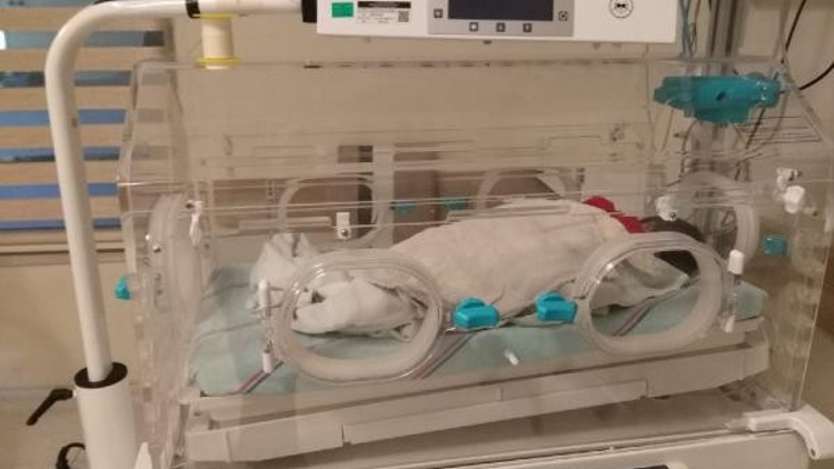 Bebeğini çöp konteynerine bırakmıştı Tutuklandı