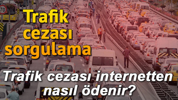 Plakadan trafik ceza sorgulama işlemi nasıl yapılır Trafik cezası internetten nasıl ödenir