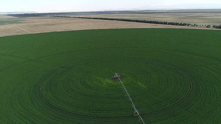 Atıl tarım alanları için arazi bankacılığı çözümü Atıl tarım alanları için arazi bankacılığı çözümü