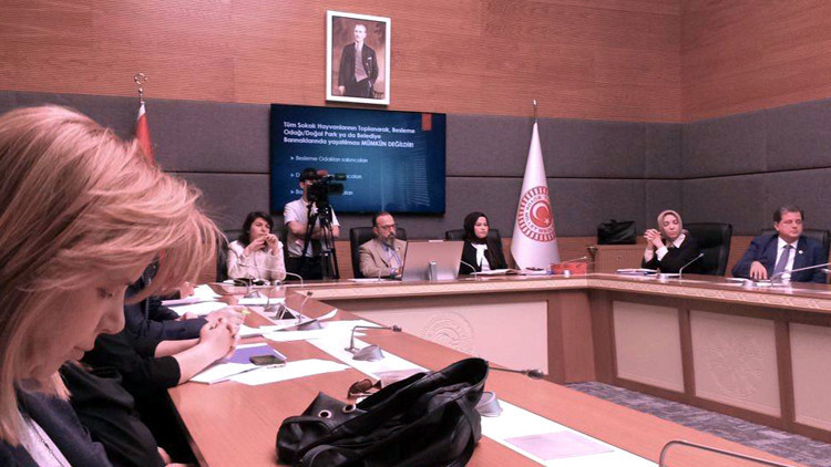 TBMM Hayvan Hakları Komisyonunun Yunus parkları kararı, hayvanseverleri sevindirdi