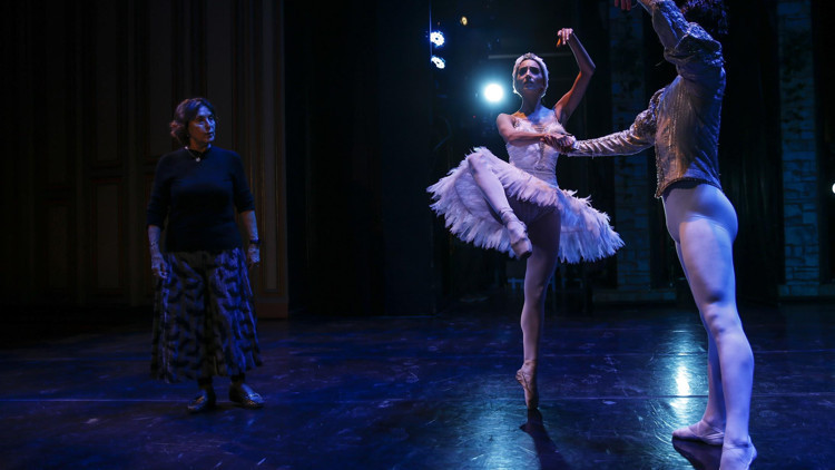 13 yıl sonra Kuğu Gölü