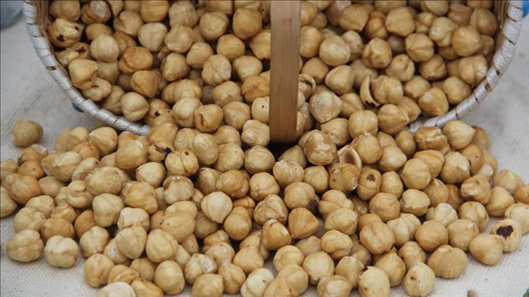 Fındık ihracatında yeni rota: Hindistan, Rusya, Meksika ve Brezilya Fındık ihracatında yeni rota: Hindistan, Rusya, Meksika ve Brezilya