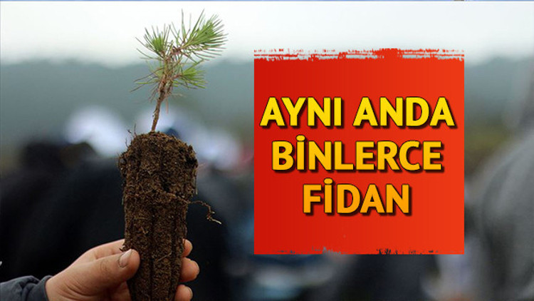 Geleceğe Nefes Fidan dikim alanları nerede Fidan dikimi ne zaman yapılacak Geleceğe Nefes Fidan dikim alanları nerede Fidan dikimi ne zaman yapılacak