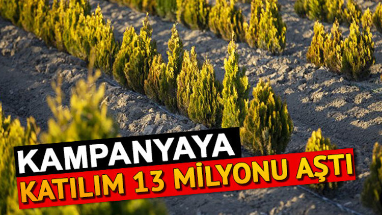 Geleceğe Nefes katılım oranı nedir Fidan kampanyası hakkında tüm detaylar