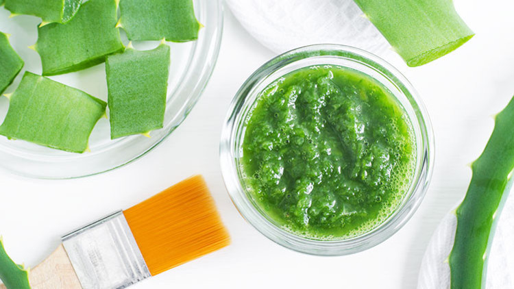Pürüzsüz Bir Cilt İçin Aloe Vera Kremi