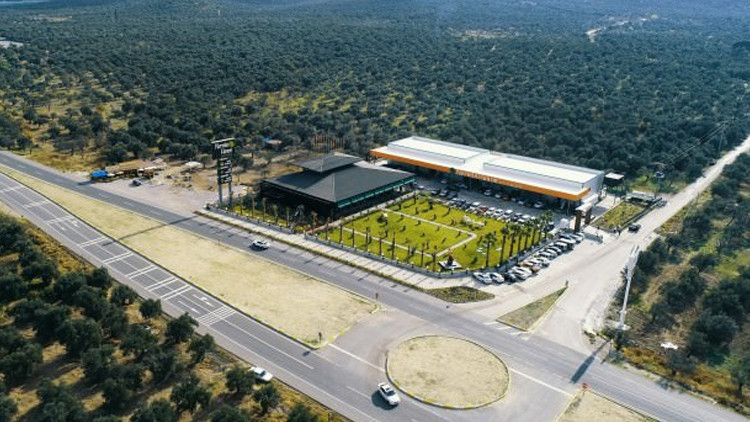 Balıkesire 15 milyon liralık zeytinyağı fabrikası yatırımı