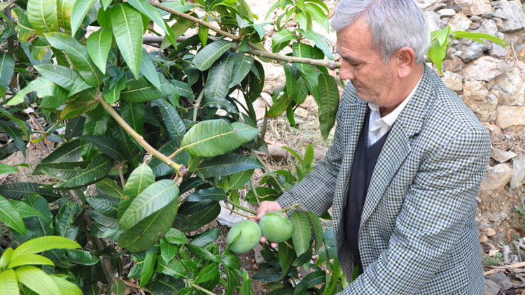 Deneme amaçlı yaptı 45 bin lira kazandı