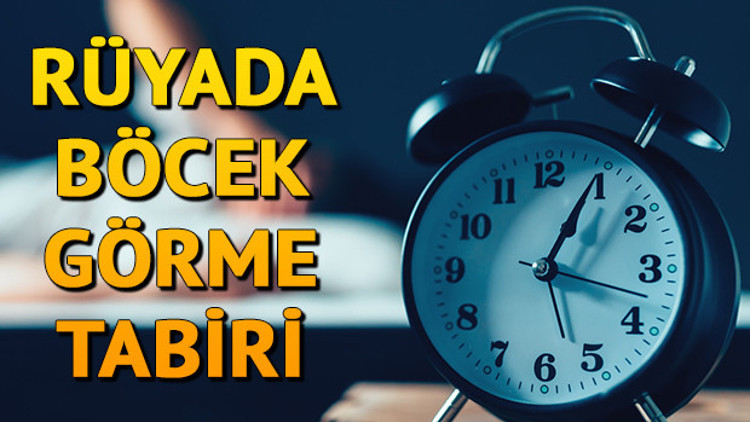 Rüyada böcek görmek ne anlama gelir Rüyada böcek öldürme tabiri Rüyada böcek görmek ne anlama gelir Rüyada böcek öldürme tabiri