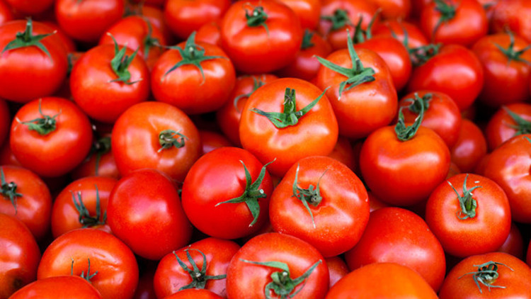 Rüyada domates görmek ne anlama gelir Rüyada domates toplamak ve yemek tabiri