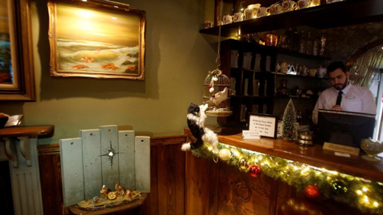 Banksynin yeni maketi Beltüllahimde