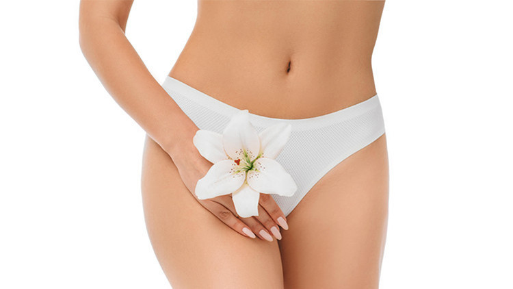 Klitoris Nedir Klitoris Nerededir