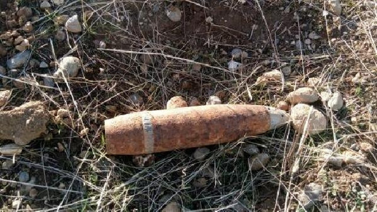 Siirt Belediyesinin hayvan barınağında havan mermisi bulundu Siirt Belediyesinin hayvan barınağında havan mermisi bulundu