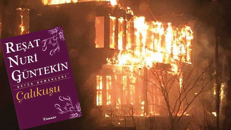 Çalıkuşu ağlıyor Affet bizi Çalıkuşu...