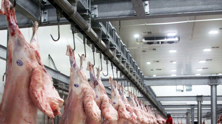 Şarbon hastalığı tespit edildi Mezbaha ve havyan pazarı kapatıldı Şarbon hastalığı tespit edildi Mezbaha ve havyan pazarı kapatıldı