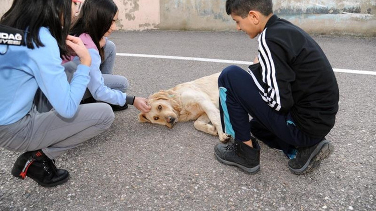 Çocuklar Max’i  çok sevdi