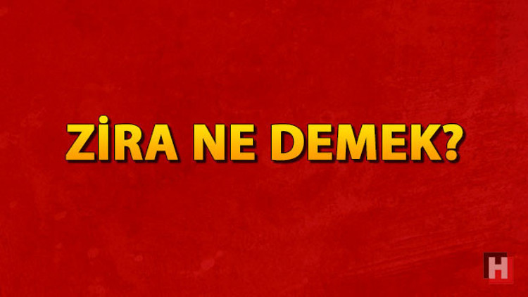 Zira ne demek Zira nedir Zira TDK kelime anlamı
