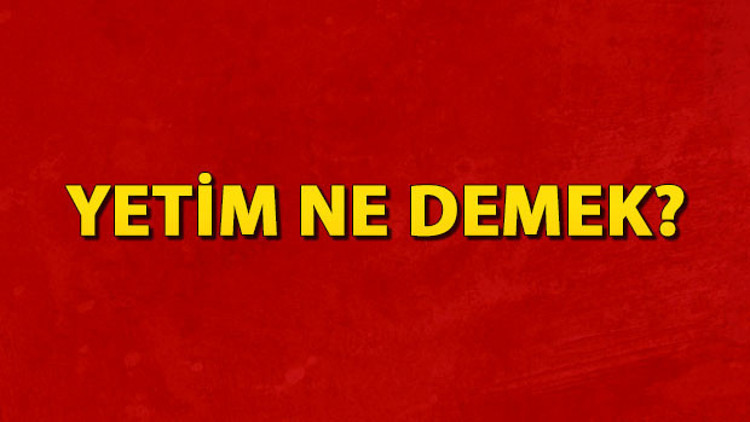 Yetim ne demek Yetim nedir Yetim TDK kelime anlamı