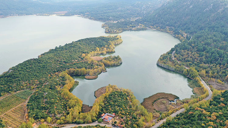 Kovada alarmı Kovada alarmı