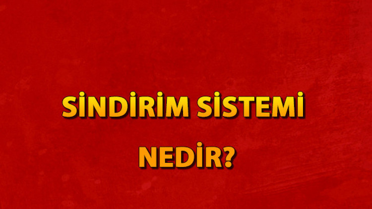 Sindirim sistemi nedir Sindirim sistemi organları ve hastalıkları nelerdir
