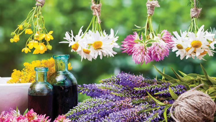 Prof. Dr. Taner Damcı: Sağlığın, daha fazla sağlığın hatta ölümsüzlüğün peşindeyiz ama... Prof. Dr. Taner Damcı: Sağlığın, daha fazla sağlığın hatta ölümsüzlüğün peşindeyiz ama...