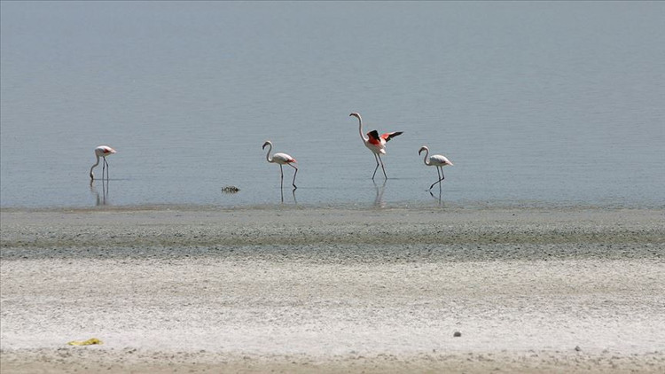 Konya Kapalı Havzasında yer altı suyuna yakın takip Konya Kapalı Havzasında yer altı suyuna yakın takip