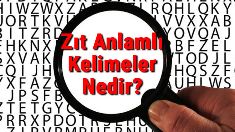 Zıt Anlamlı Kelimeler Nedir Karşıt Anlamlı Sözcükler Konu Anlatımı Ve Örnek Listesi Zıt Anlamlı Kelimeler Nedir Karşıt Anlamlı Sözcükler Konu Anlatımı Ve Örnek Listesi