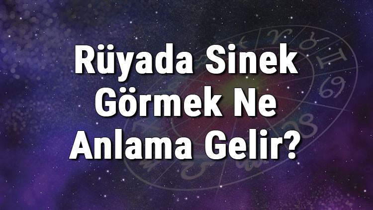 Rüyada Sinek Görmek Ne Anlama Gelir Rüyada Sinek Öldürmek Ve Yakalamak Anlamı